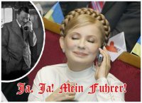 Cхватка бульдогов под ковром