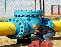 Газ посуточно или здравствуй, песец