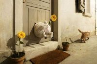 Львовские женщины отказываются от подарков: «Отдайте деньги на АТО!»