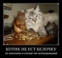 ВСУ. Странный способ дембельнуться. Мой компас земной.