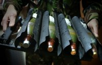 Посол ФРГ: Обама решил воздержаться от поставок оружия Киеву после встречи с Меркель