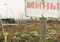 В Донецкой области заминировано около 30 тыс. га пахотных земель