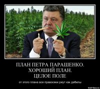 Как Петруччо дурака валяет