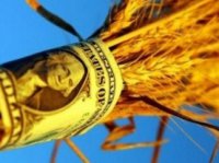 Сельхозпродукция на Украине подорожала на 62%