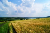 Солнечное затмение вызвало панику на Украине