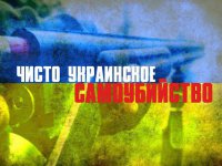 Линия защиты. Чисто украинское самоубийство?