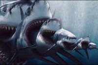 Погром офшоров. У нуворишей отожмут 32 триллиона долларов