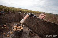 Поехали работать