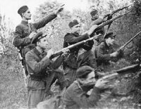 Рада признала ОУН-УПА борцами за независимость Украины