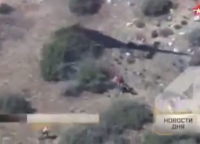 Кровавый вестерн: полицейские избили всадника в Калифорнии