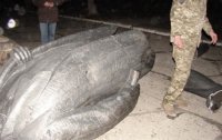 В Днепропетровске снесли памятник Владимиру Ленину
