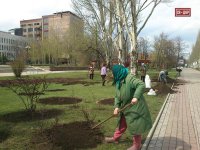 Городу роз быть!