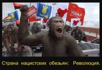 Зверь по имени «Украина»: «неестественный отбор»