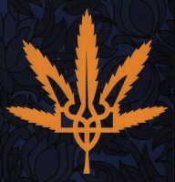 Google считает Украину державой «наркоманов»