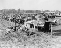 Короли помойки