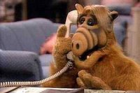 Роскосмос будет искать инопланетян официально