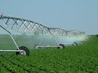 Странности санкций или как дела на сельскохозяйственном фронте России.