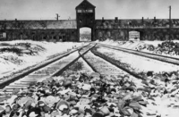 Статья о «достижениях» нацистского Рейха вызвала негодование в Латвии