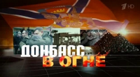 Донбасс в огне. Документальный фильм (2015)