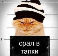 Заява "Вінницької месниці" Віти Заверухи