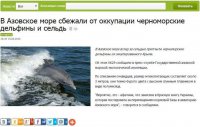 Дельфины и сельдь на службе украинской пропаганды: СМИ сообщают, что морские обитатели убегают от российской «оккупации» в территориальные воды Украины