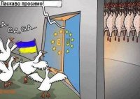 Украина — за что боролись, на то и напоролись. Поляки требуют реституции