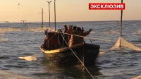 В ДНР рыбаки под обстрелами выходят в море, чтобы прокормить семьи