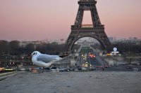 «Страна сыров» отказывается понимать Украину. А помогать – тем более