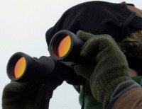 Эксперты Chatham House предрекают прямое столкновение России и Европы