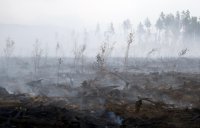 Минэкологии Украины: четыре торфяных пожара зафиксированы под Киевом