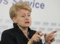 В Литве не хотят воевать за внешнюю политику Дали Грибаускайте. Александр Носович