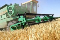Уже не житница. Агросектор Украины не оправдал надежд