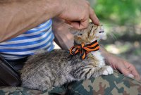 Парень с "Георгиевской ленточкой"