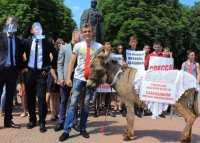 Мишкина услуга