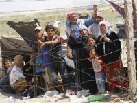 Венгрия отгородится от мигрантов 4-метровым забором