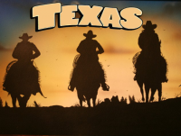 Техас не подчинится гей-атаке Администрации Обамы