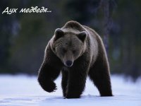 Сказки странного леса