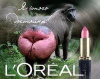 США разрешили Киеву экспортировать без пошлин мясо моржей и обезьян