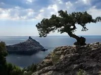 Луганские дети будут отдыхать в Крыму