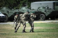 Жест доброй воли ополченцев Киев встретил угрозами