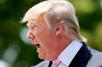 На выборах президента США будет интересно: Трамп вырывается вперед, «Буша-Третьего» может уже не быть