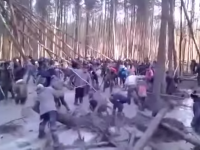 Янтарная лихорадка на Украине.