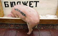 Как доят коров и госбюджет?