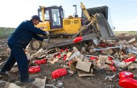 В Петербурге пройдут пикеты против уничтожения еды