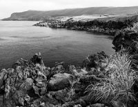 В Токио обсуждают идею «обменять» Крым на Курилы