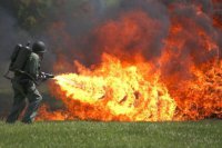 В США в открытую продажу поступили огнеметы