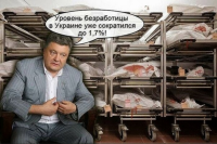 Пушков предложил Порошенко издать «Киевские сказки»