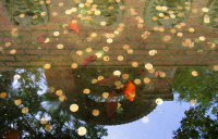 Министр "астрологии" Глюкаев заявил о достижении российской экономикой "хрупкого дна"