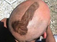 У них просто дефицит мозгов