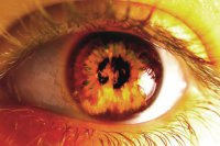 Раздуть пожар